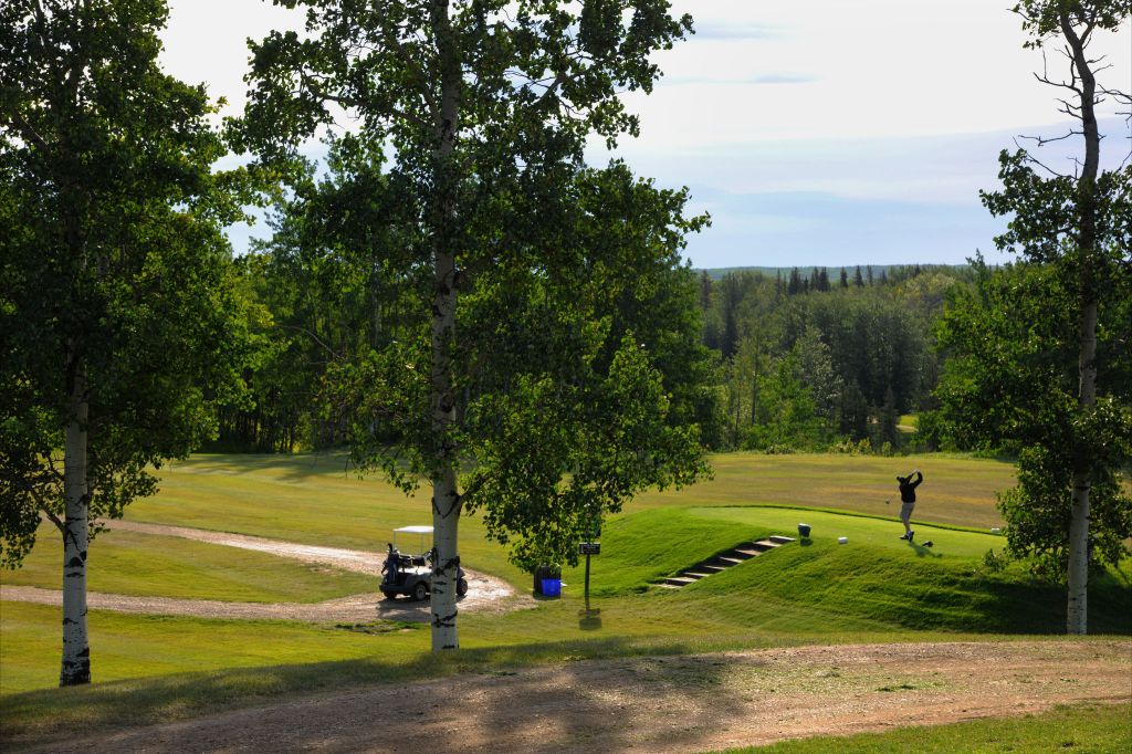 image of golf course green