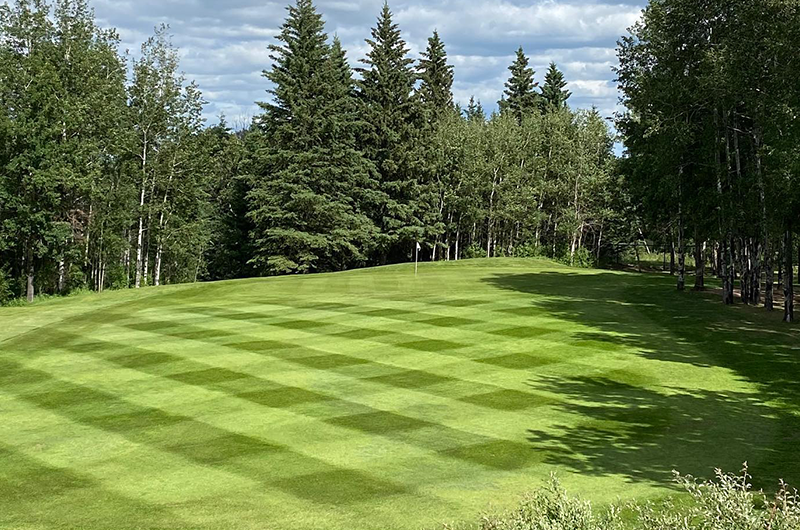 perfectly manicured fresh course greens