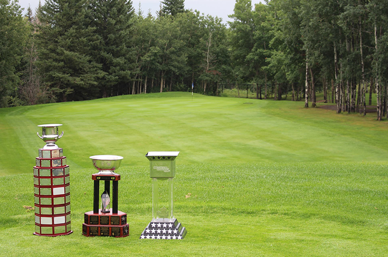 view of golf course hole with trophies